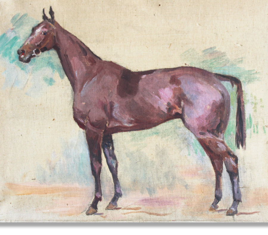 The Horse