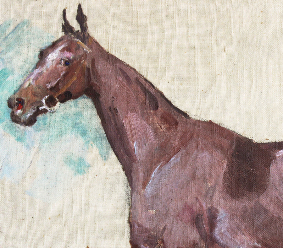 The Horse