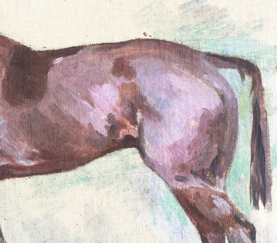 The Horse