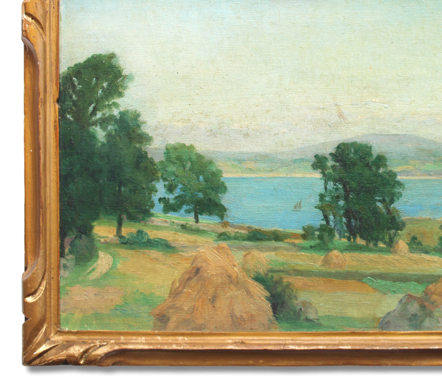L'été au Lac