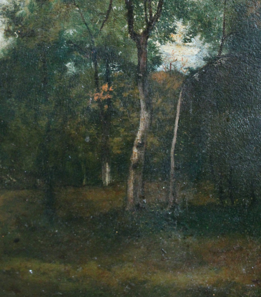 Sous-bois