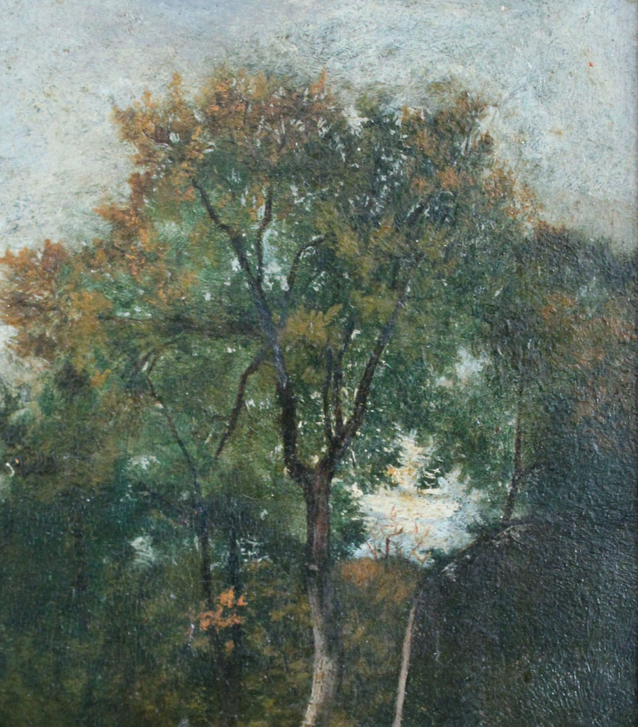 Sous-bois