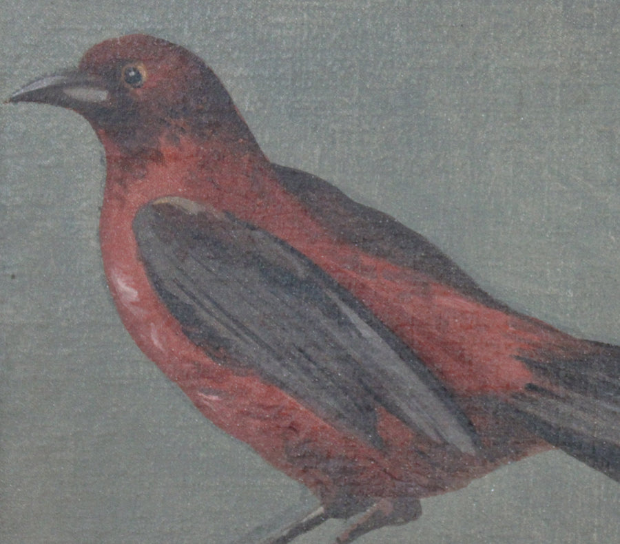 L'Oiseau Rouge