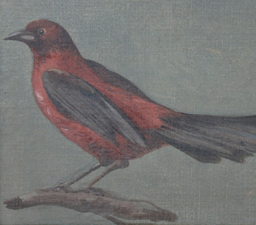 L'Oiseau Rouge