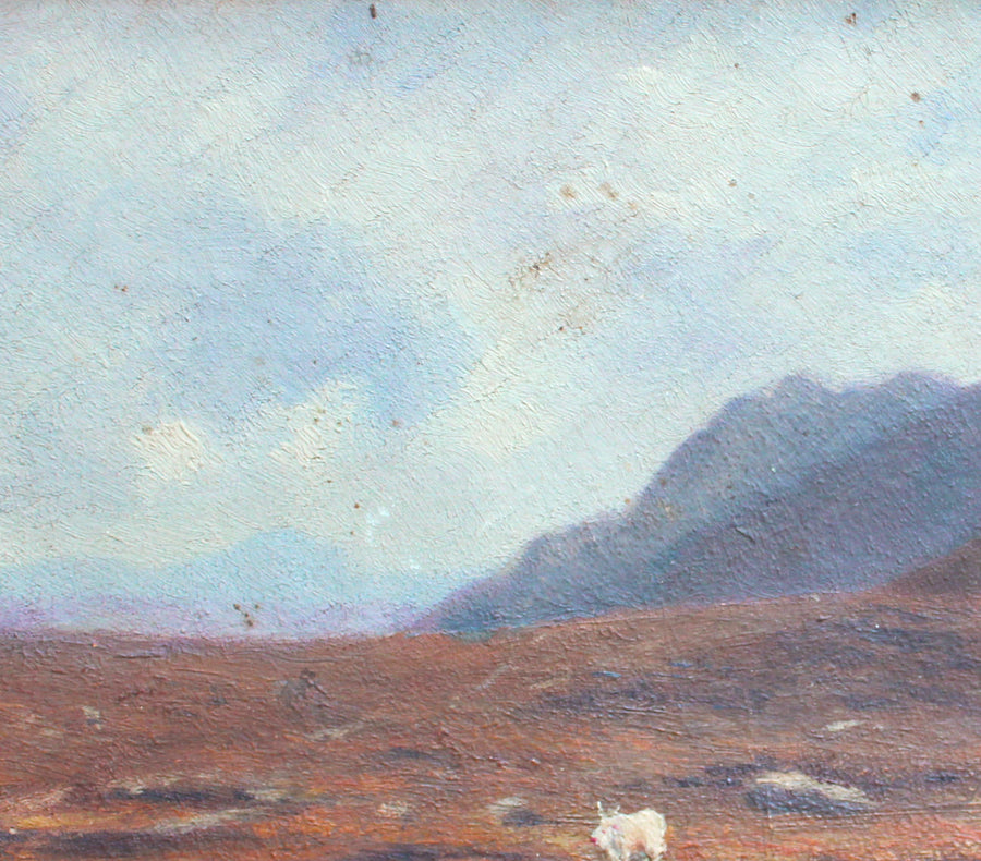 La Plaine