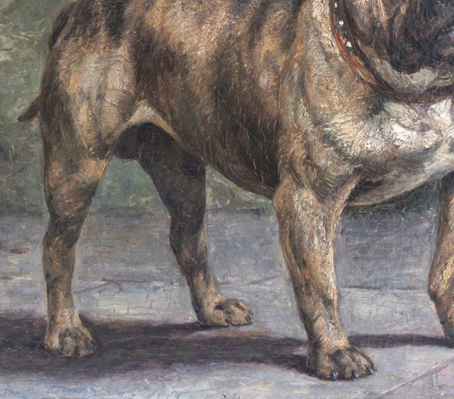 Bulldog