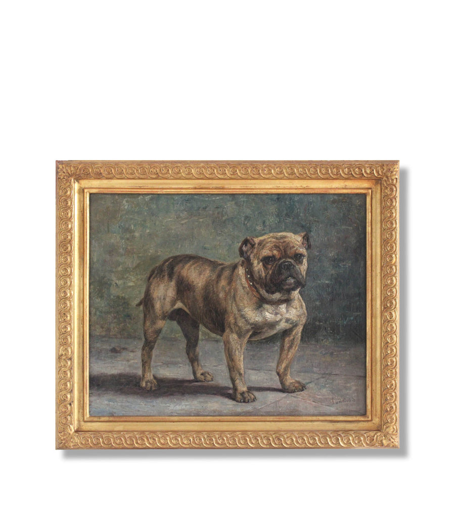 Bulldog