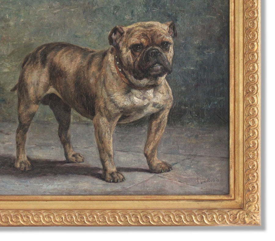 Bulldog