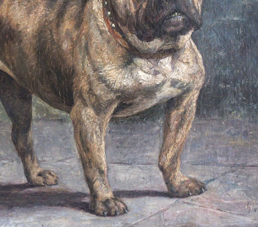 Bulldog