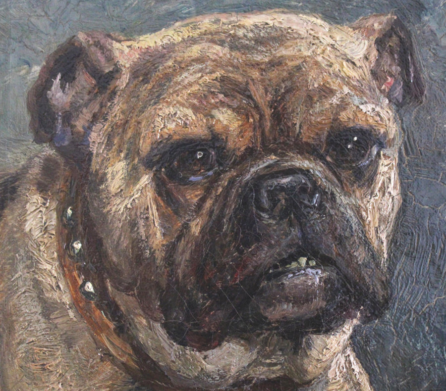 Bulldog