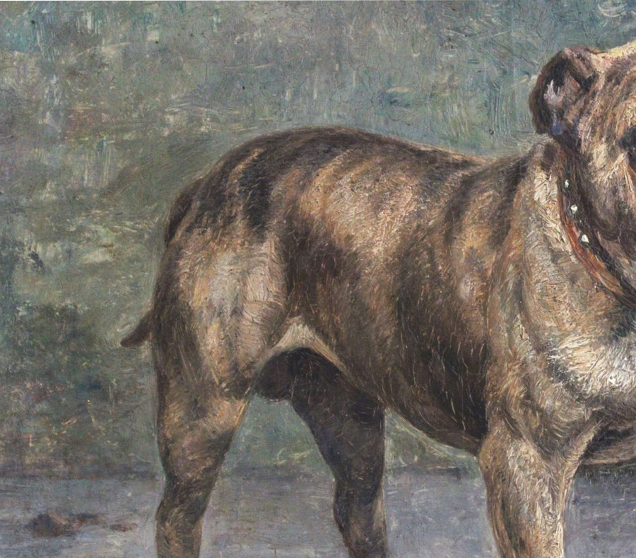 Bulldog