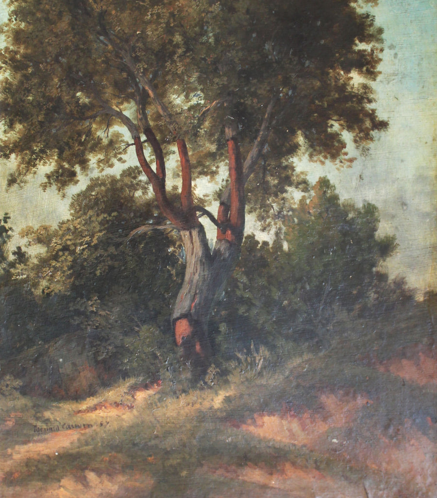 L'Arbre