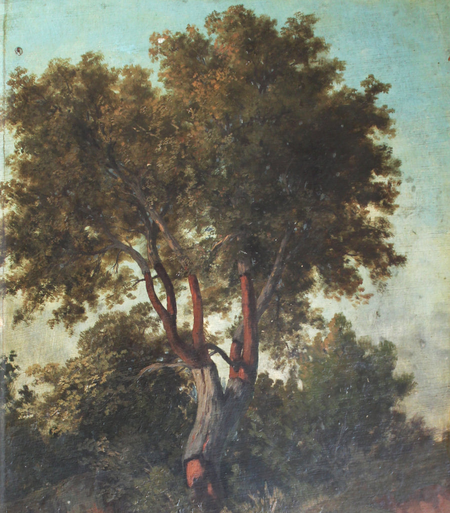 L'Arbre