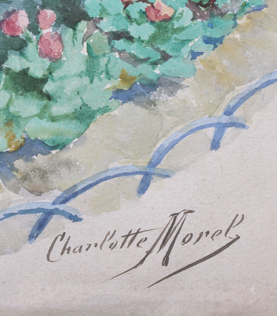 C.Morel N°1
