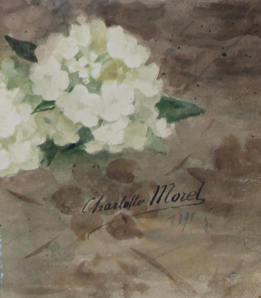 C.Morel N°2