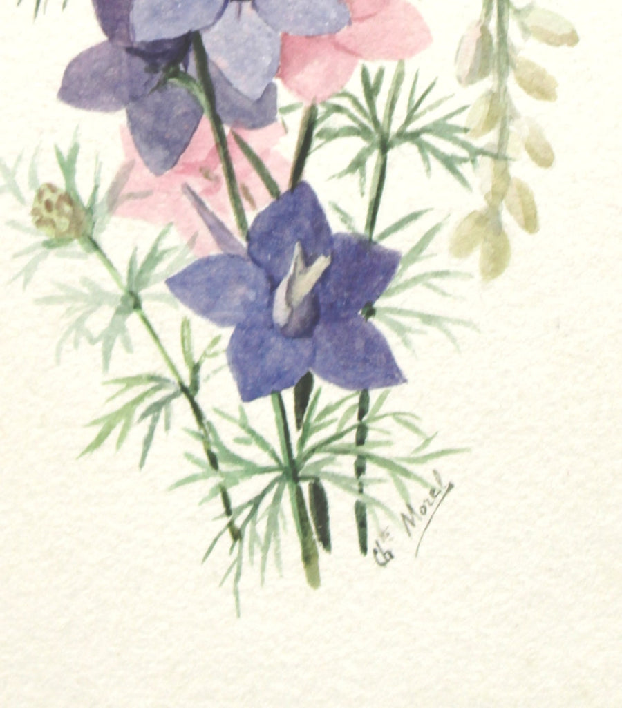 C.Morel N°16