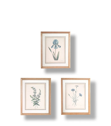 Three Botanicals - French Art Shop