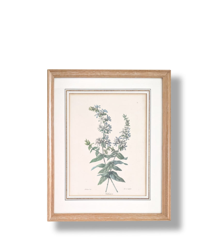 Three Botanicals - French Art Shop