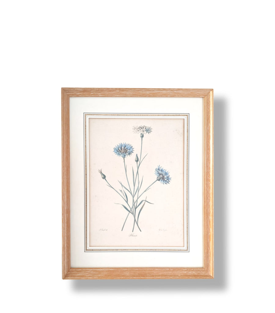 Three Botanicals - French Art Shop