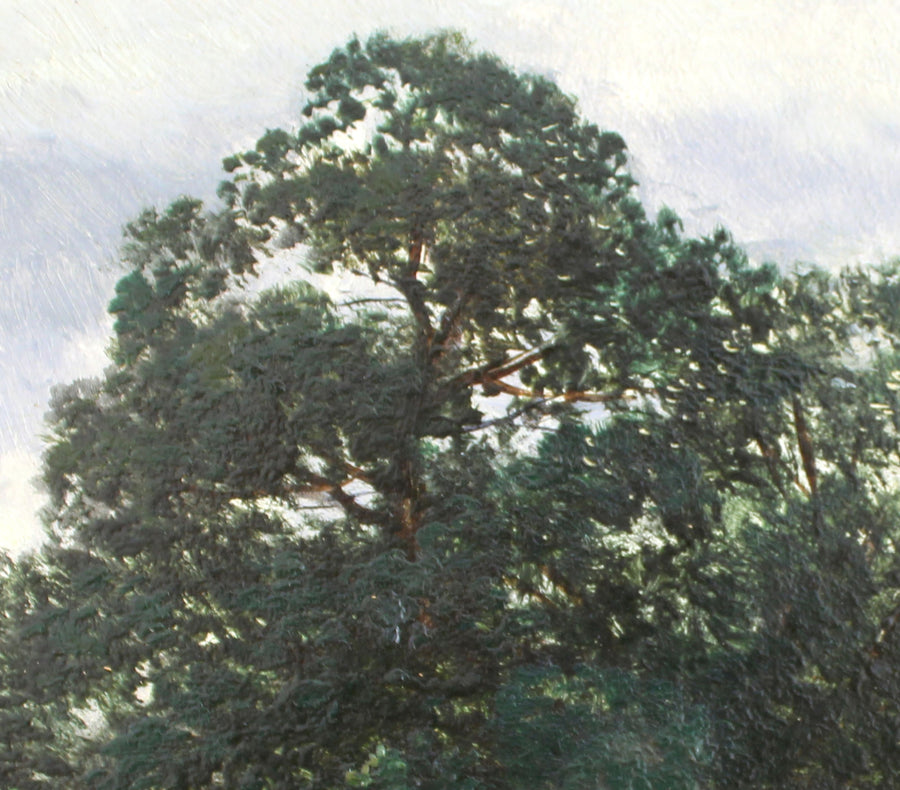 Tree View