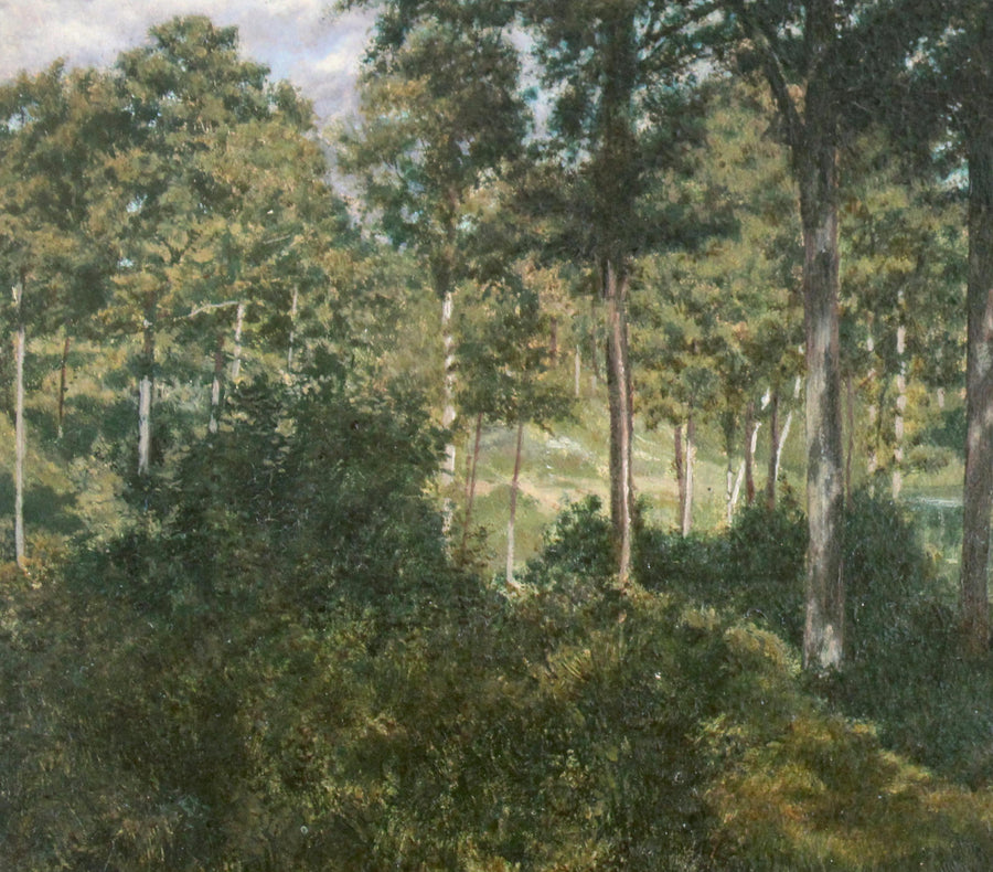 Lac de Forêt