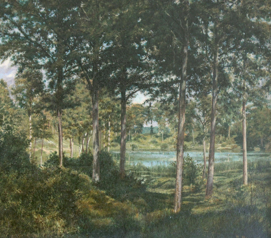 Lac de Forêt