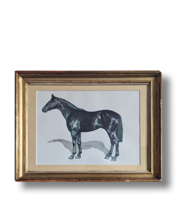 Thoroughbred - French Art Shop