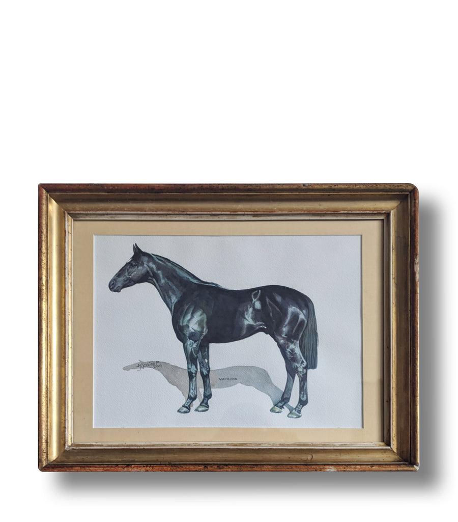 Thoroughbred - French Art Shop