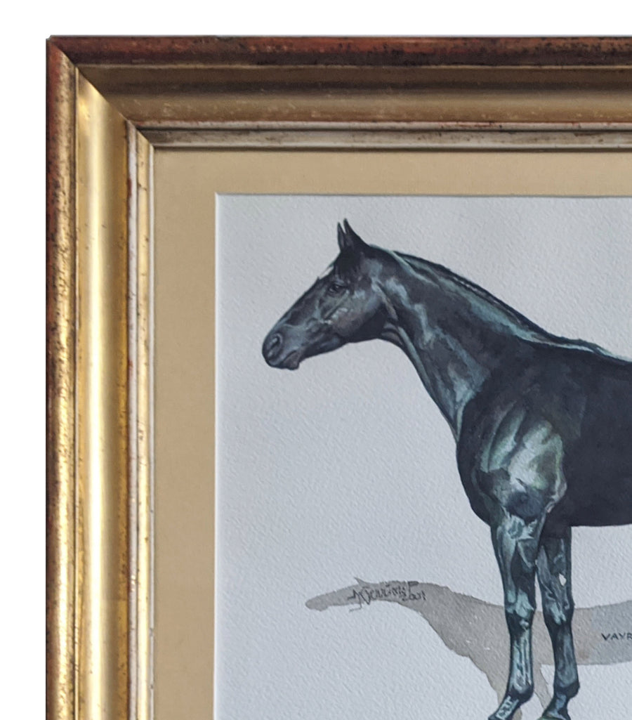 Thoroughbred - French Art Shop